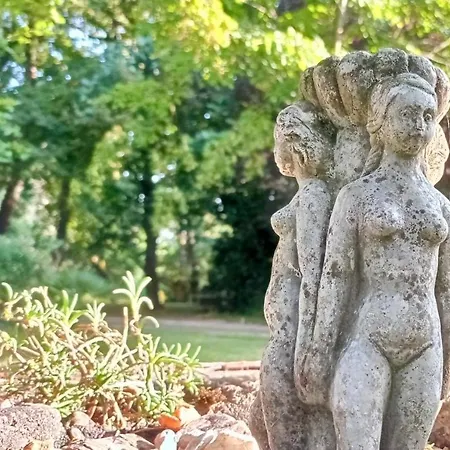 Bed & Breakfast Domaine De Rasigous Saint-Affrique-les-Montagnes