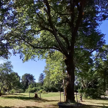 Domaine De Rasigous Bed & Breakfast