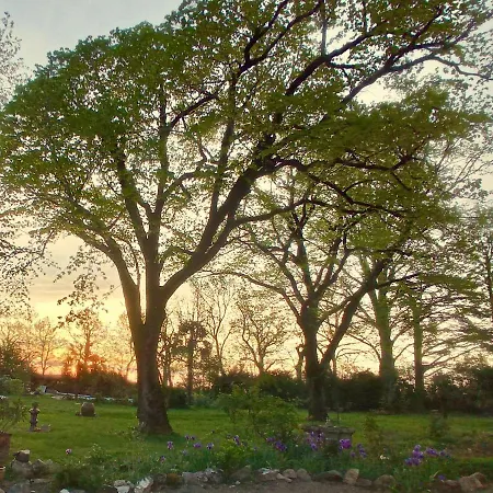 Domaine De Rasigous Saint-Affrique-les-Montagnes
