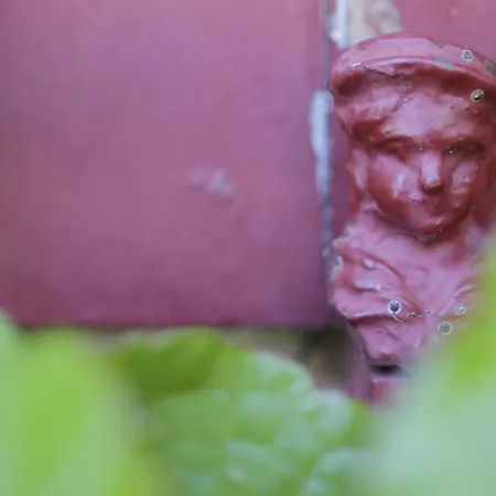 Domaine De Rasigous Bed & Breakfast