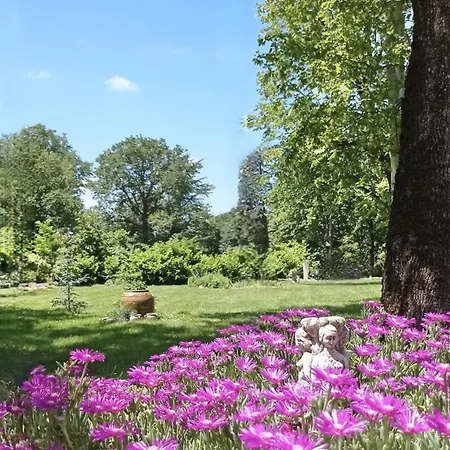 Domaine De Rasigous 4* サン・タフリック・レ・モンターニュ