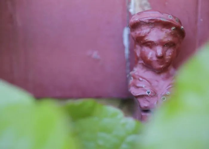 Domaine De Rasigous Bed & Breakfast