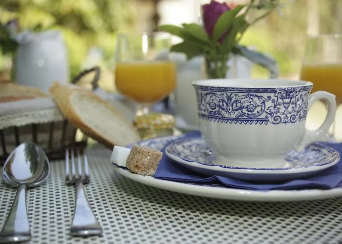 Domaine De Rasigous Bed & Breakfast