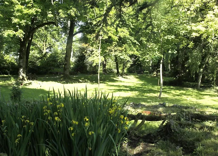 Domaine De Rasigous Bed & Breakfast Saint-Affrique-les-Montagnes