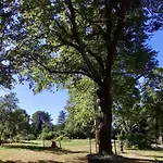 Domaine De Rasigous Frühstückspension