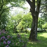 Domaine De Rasigous