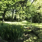Domaine De Rasigous Frühstückspension Saint-Affrique-les-Montagnes