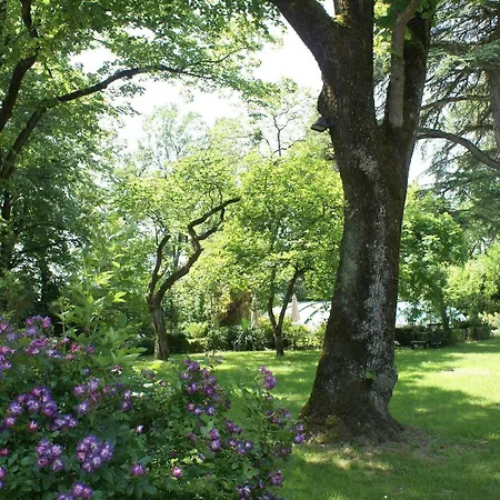 Domaine De Rasigous