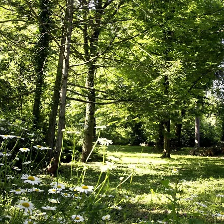 Domaine De Rasigous