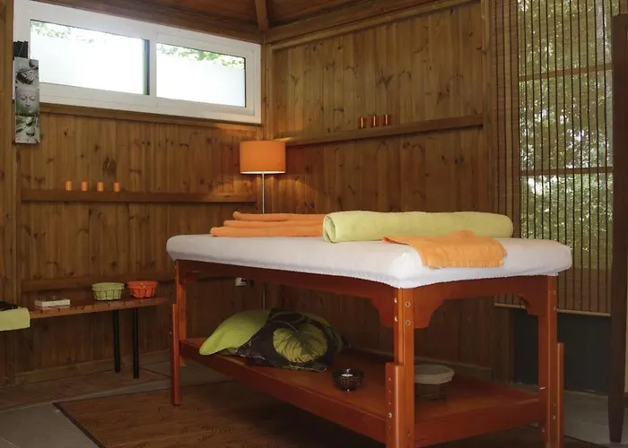 Bed & Breakfast Domaine De Rasigous 4*